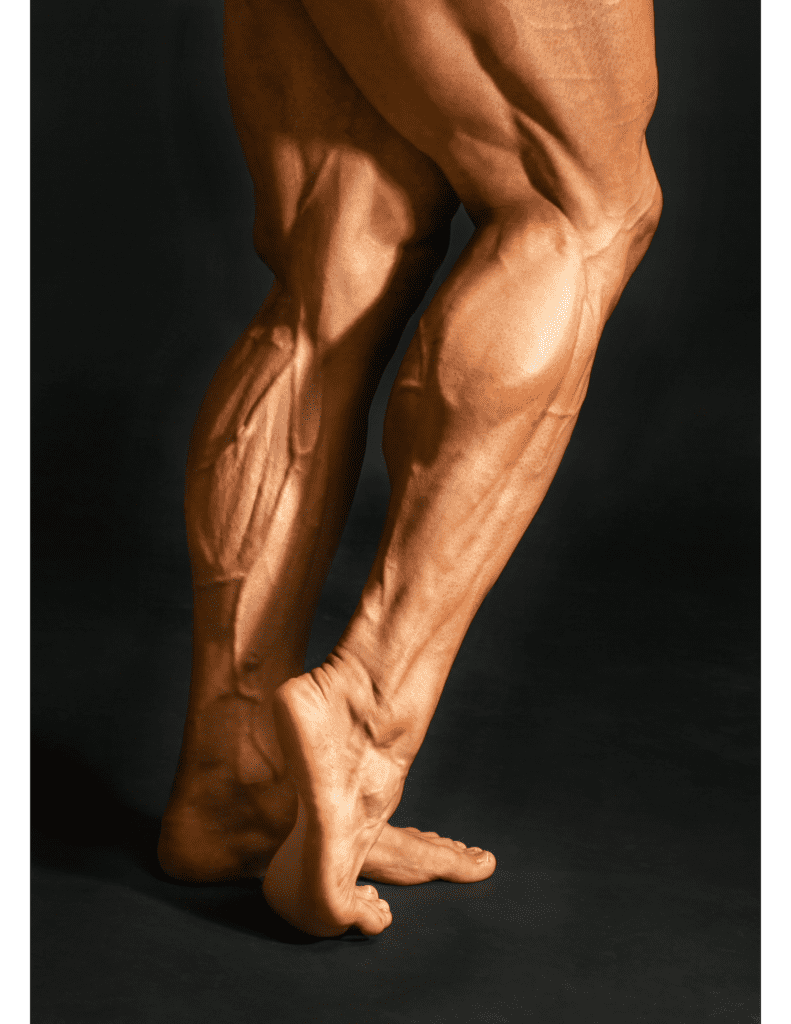 Sculpted Calf Muscle